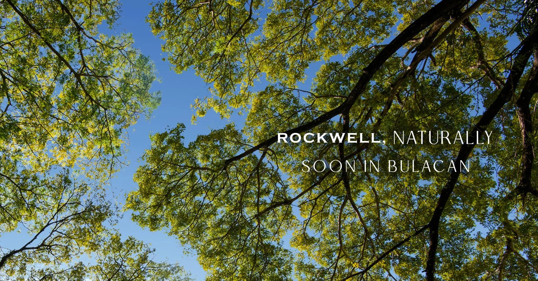 The Samanean at Paradise Farms