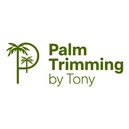 Palm Trimming by Tony
