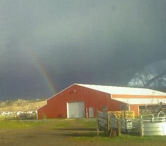 equine motel, overnight horse boarding, horse stables, billings montana