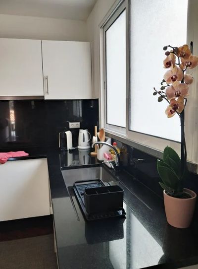 Modern kitchen with black countertops and a potted orchid by the window.