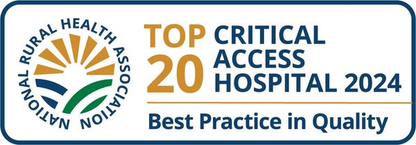 Graphic of the 2024 Top 20 Critical Access Hospital Award