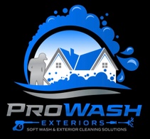 PRO WASH