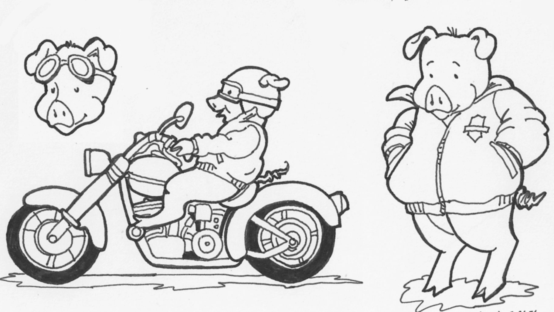 //img1.wsimg.com/isteam/ip/19673692-ab85-4ddf-a70f-747c89752d81/Motorcycle%20Hogg_bak.jpeg/:/rs=w:1300,h:800
