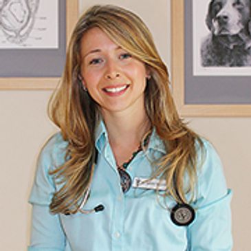 Lauren D Sawchyn Association of Medical Illustrators, the American Veterinary Medical Association