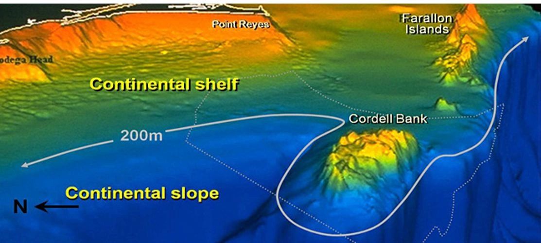 Cordell Bank
Farallon Islands
NMS
Images of Cordell Bank
Exploration of Cordell Bank
