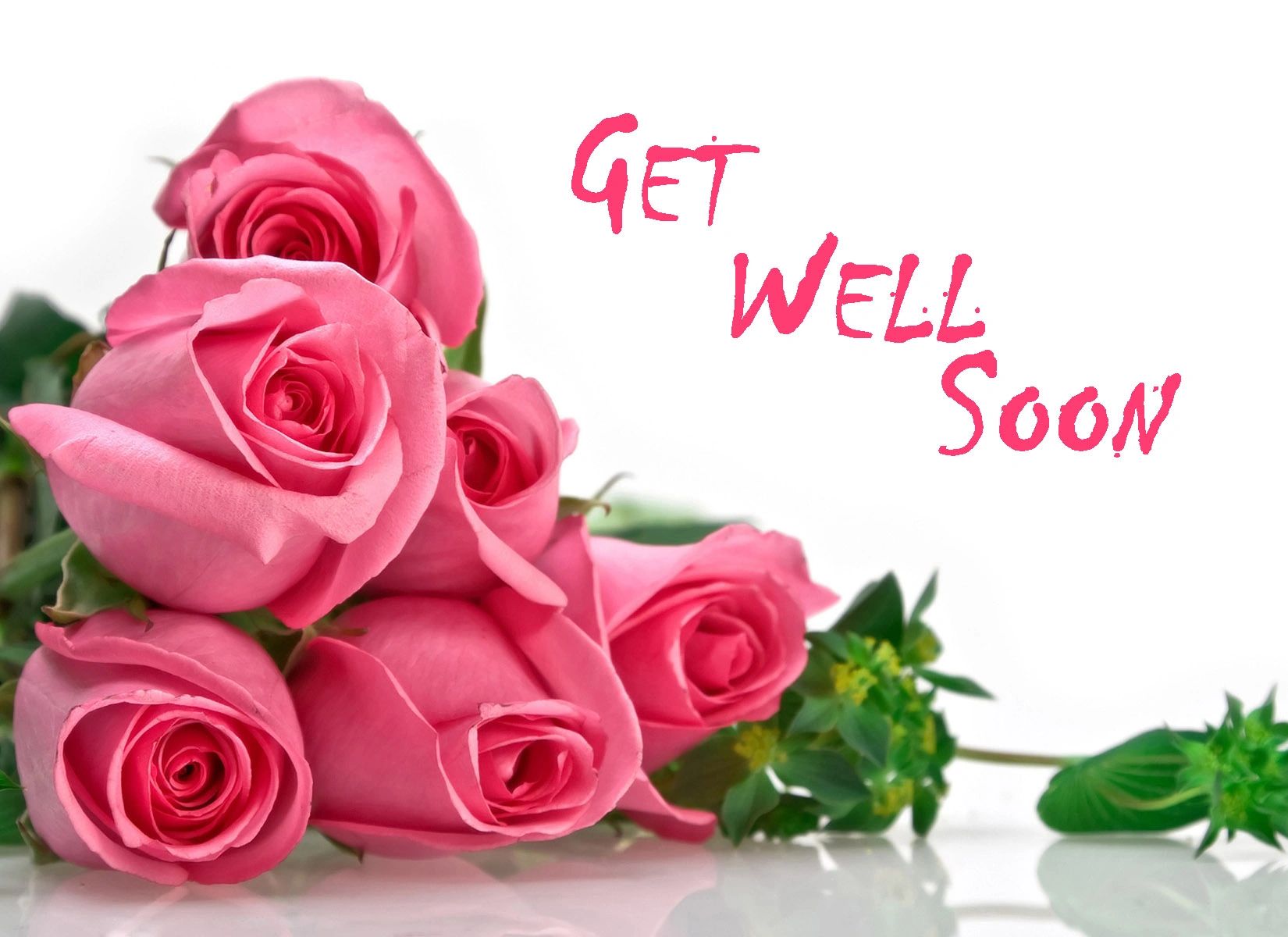 get well soon pink roses