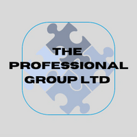 The professional group Ltd 
