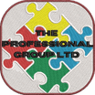The professional group Ltd 