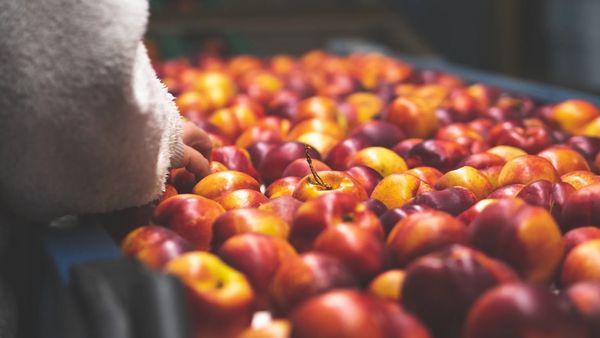 A Health & Safety Toolkit