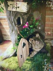 Large Cat Trees Fantasy Cat Trees Fantasy Cat Trees