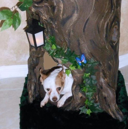 Large Cat Trees Fantasy Cat Trees Fantasy Cat Trees