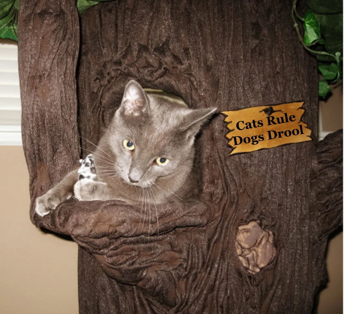 Large Cat Trees Fantasy Cat Trees Fantasy Cat Trees