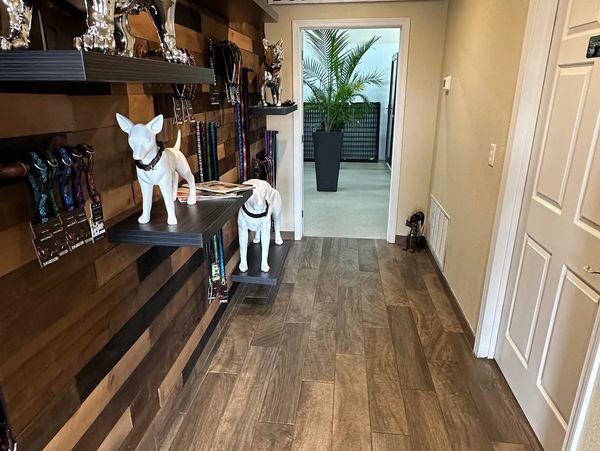 Hallway with dog-themed decor and a Bed & Breakfast sign.