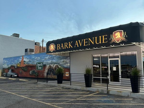 Bark Avenue pet grooming shop with a mural and empty parking lot.