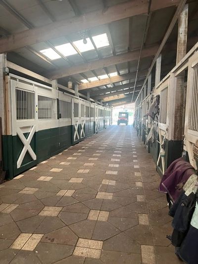 Indoor horse stable aisle with stalls on both sides and equipment hanging.