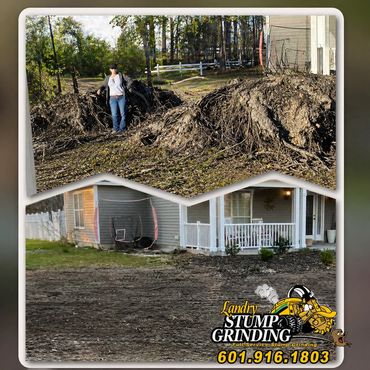 Stump Grinding before and after pics