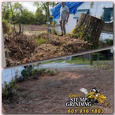 Stump Grinding before and after pics