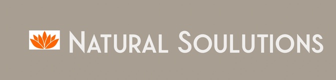 SOULutions Therapies