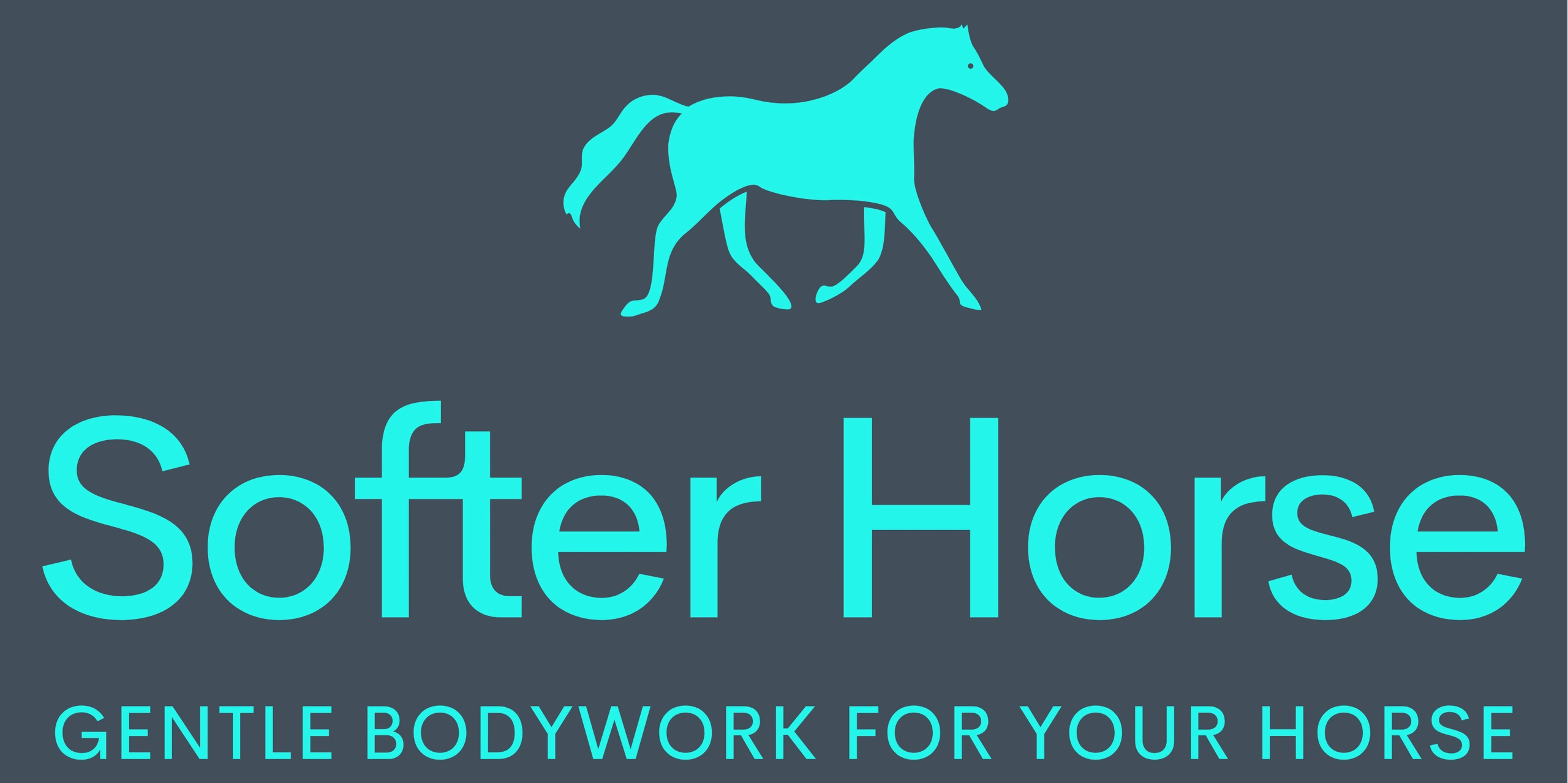 Softer Horse
gentle bodywork for your horse