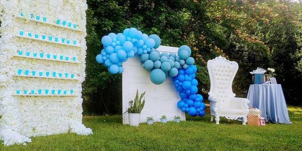 Love so hard, that your heart turns blue!
Picnic Bridal Shower