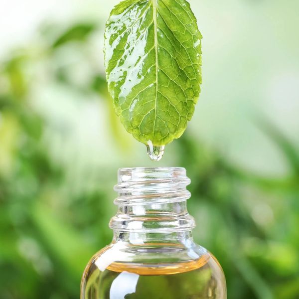 A drop from a fresh green leaf falling into a glass bottle.