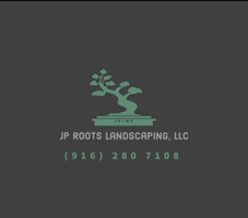 JP ROOTS 