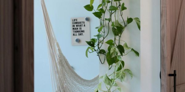 Indoor hammock chair with hanging green plant and motivational wall quote.