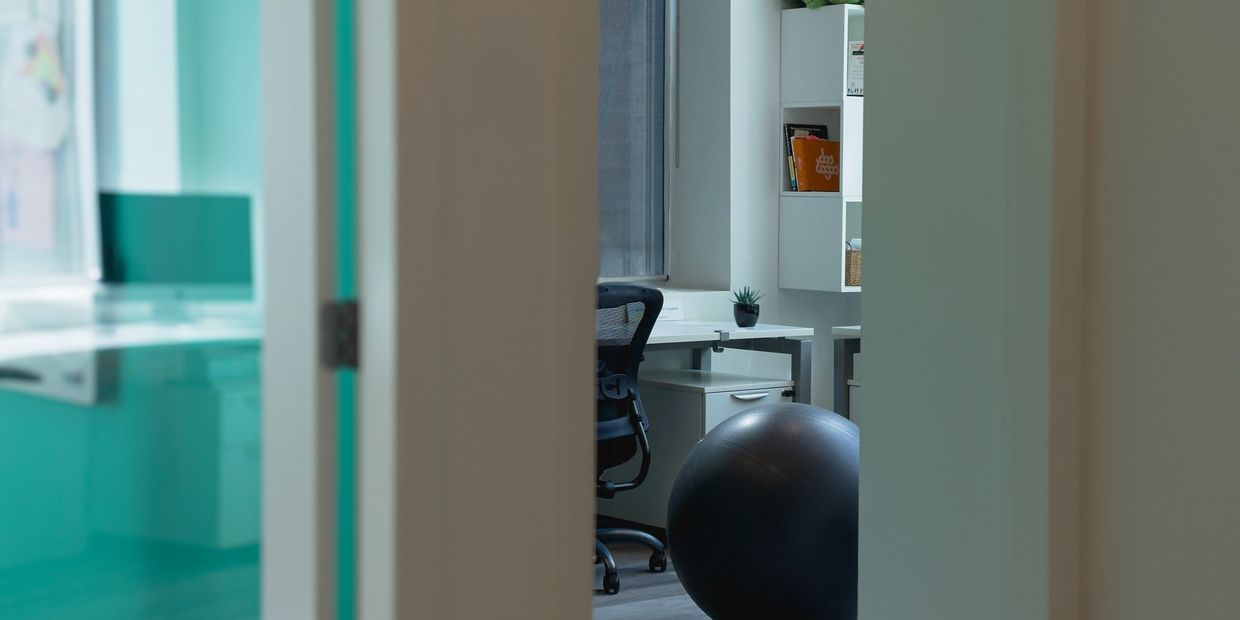 Office space with chair and exercise ball.