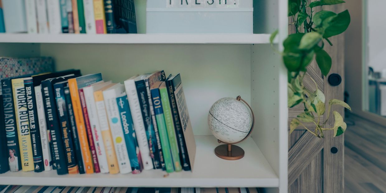 Books and a globe on a white bookshelf with a plant nearby.