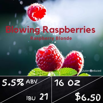 Blowing Raspberries
5.5% ABV
21 IBU
16 oz $6.50