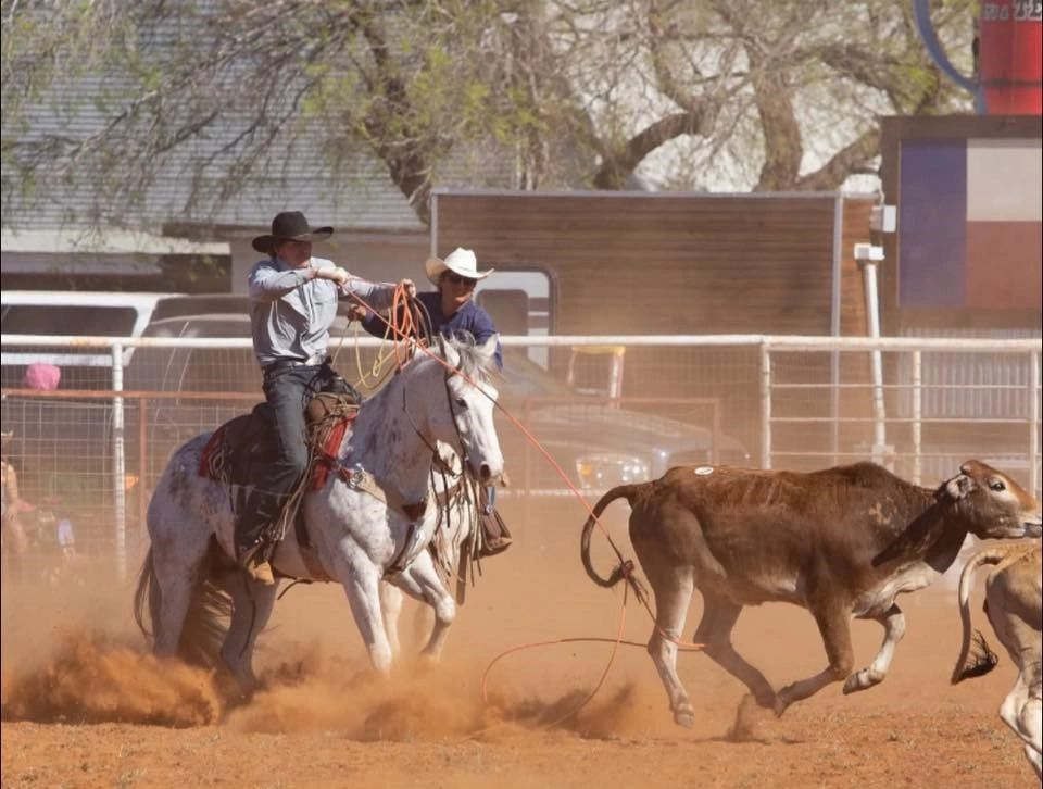 Mason Howard Horse Co