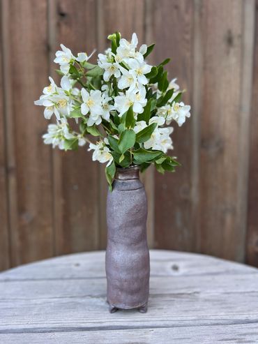 Mock orange blossoms in a coil and pinch vase
