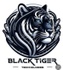 Black Tiger Tech