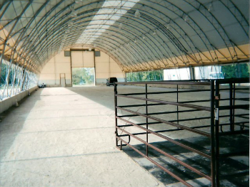 Rollup Sidewall Curtains On A Horse Riding Arena  Allows For &quot;Environmental Control&quot; For All Year Horse Riding - AL-BE Curtains