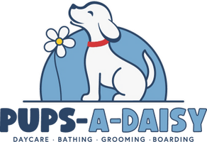 Pups-A-Daisy