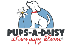 Pups-A-Daisy