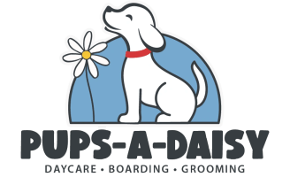 Pups-A-Daisy