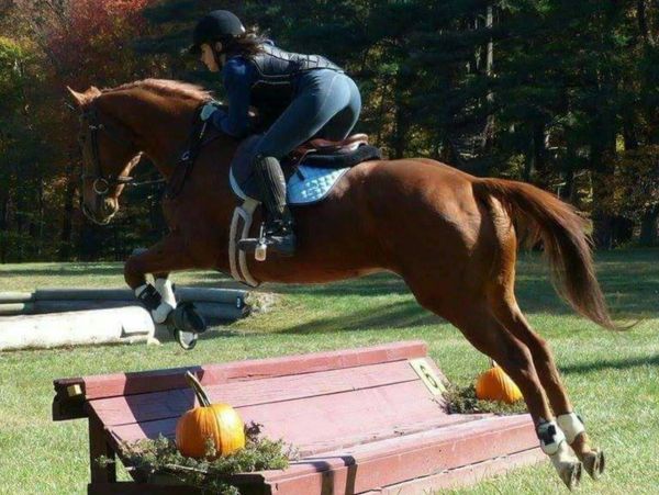 Amanda Wikman on a chestnut horse riding over a jump