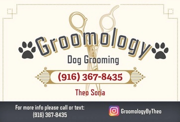 Groomology by Theo