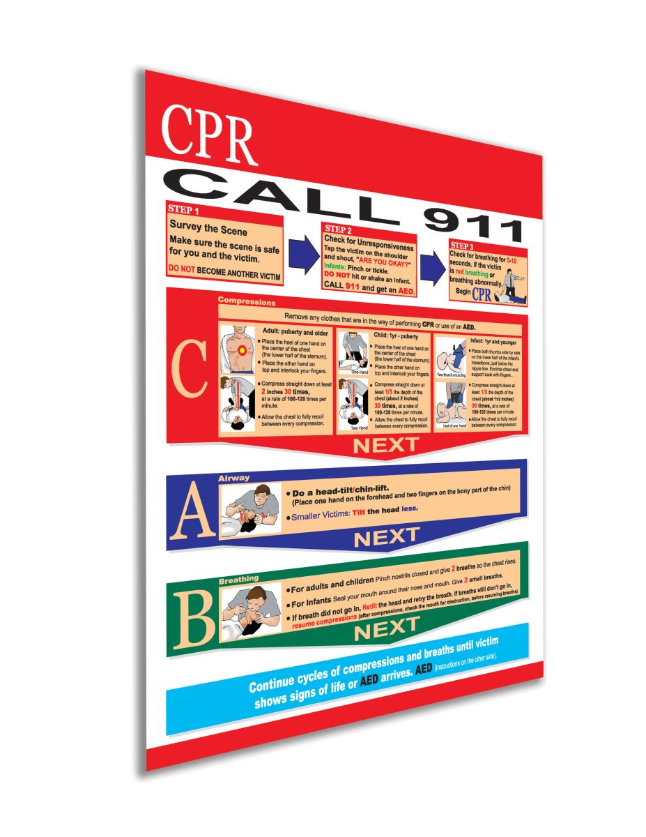 Laminated Layperson Chart