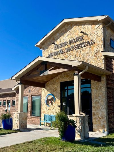 Stone facade of Deer Park Animal Hospital under clear blue sky.