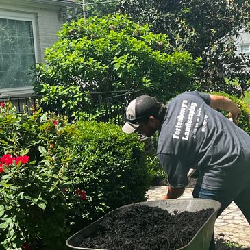 mulch 