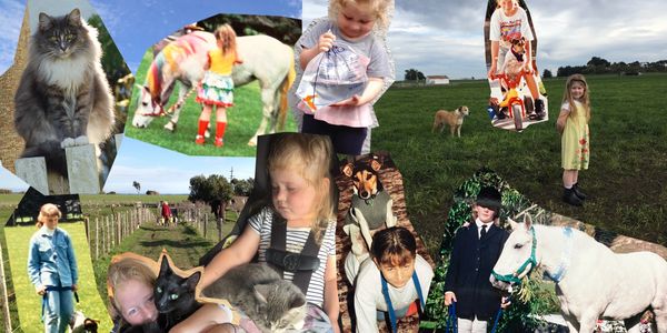 A collage of photos of beloved pets that have died. There are cats, dogs, horses and fish.