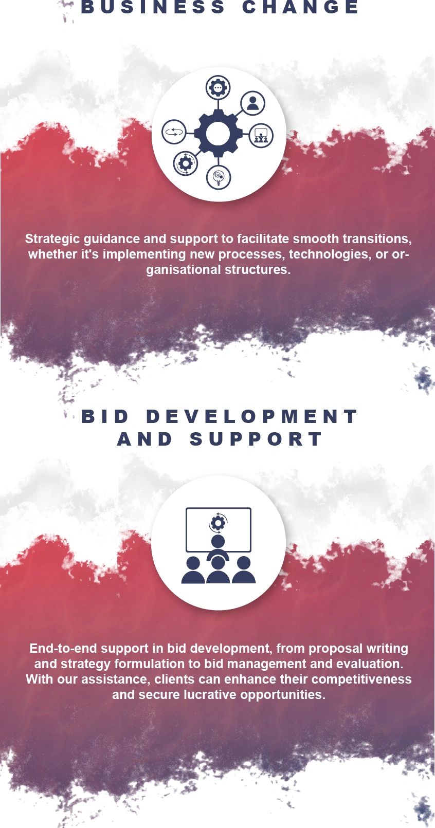 Business change and bid development support services.