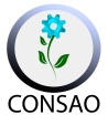 Consultores en Salud Ocupacional y Ambiental SA CV