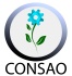 Consultores en Salud Ocupacional y Ambiental SA CV