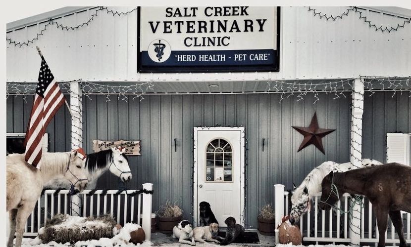 Salt Creek Vet Clinic