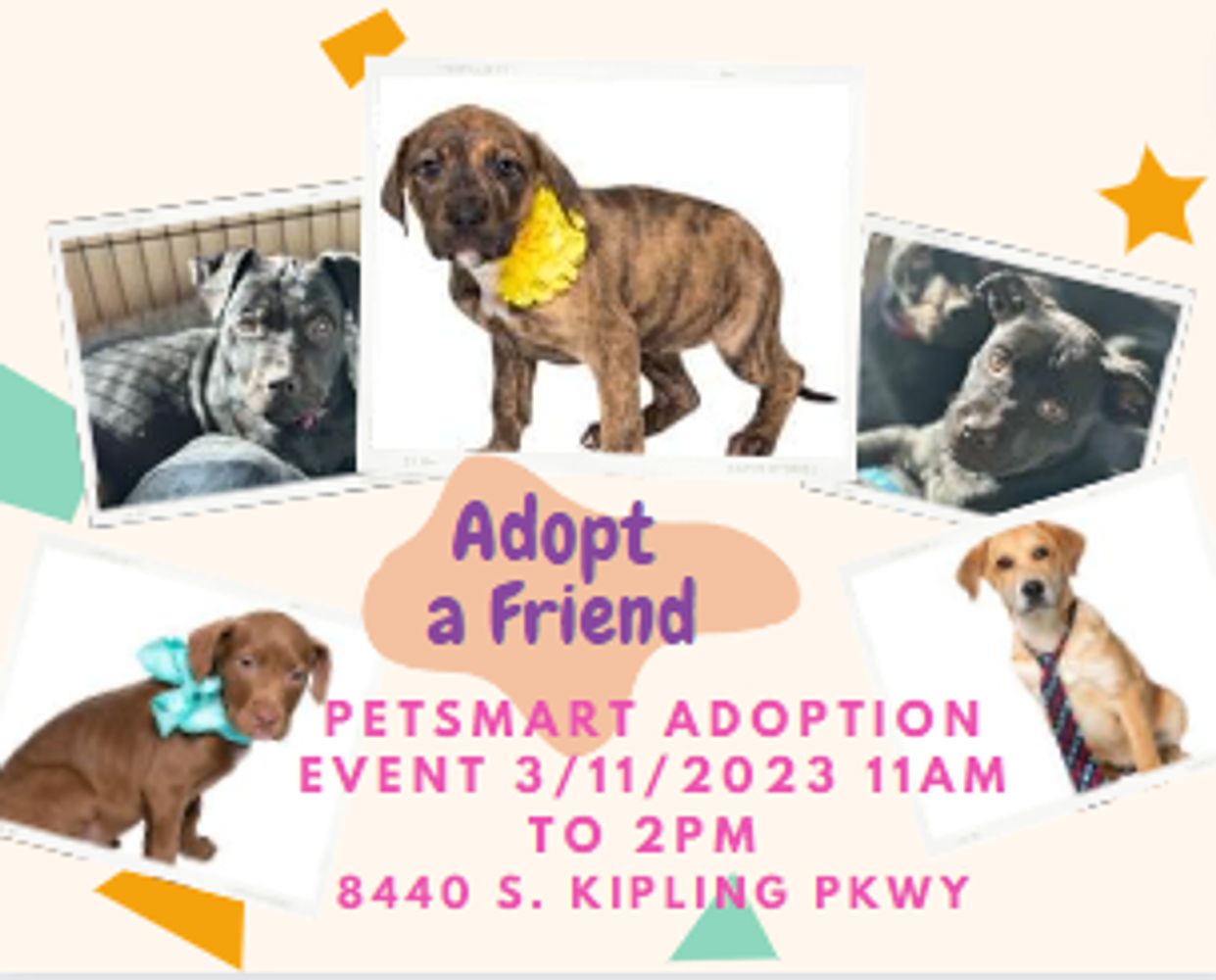 . Rescue - Animal Shelter, Adopt a Dog, Animal Rescue . Rescue - Animal Shelter, Adopt a Dog, Animal Rescue
