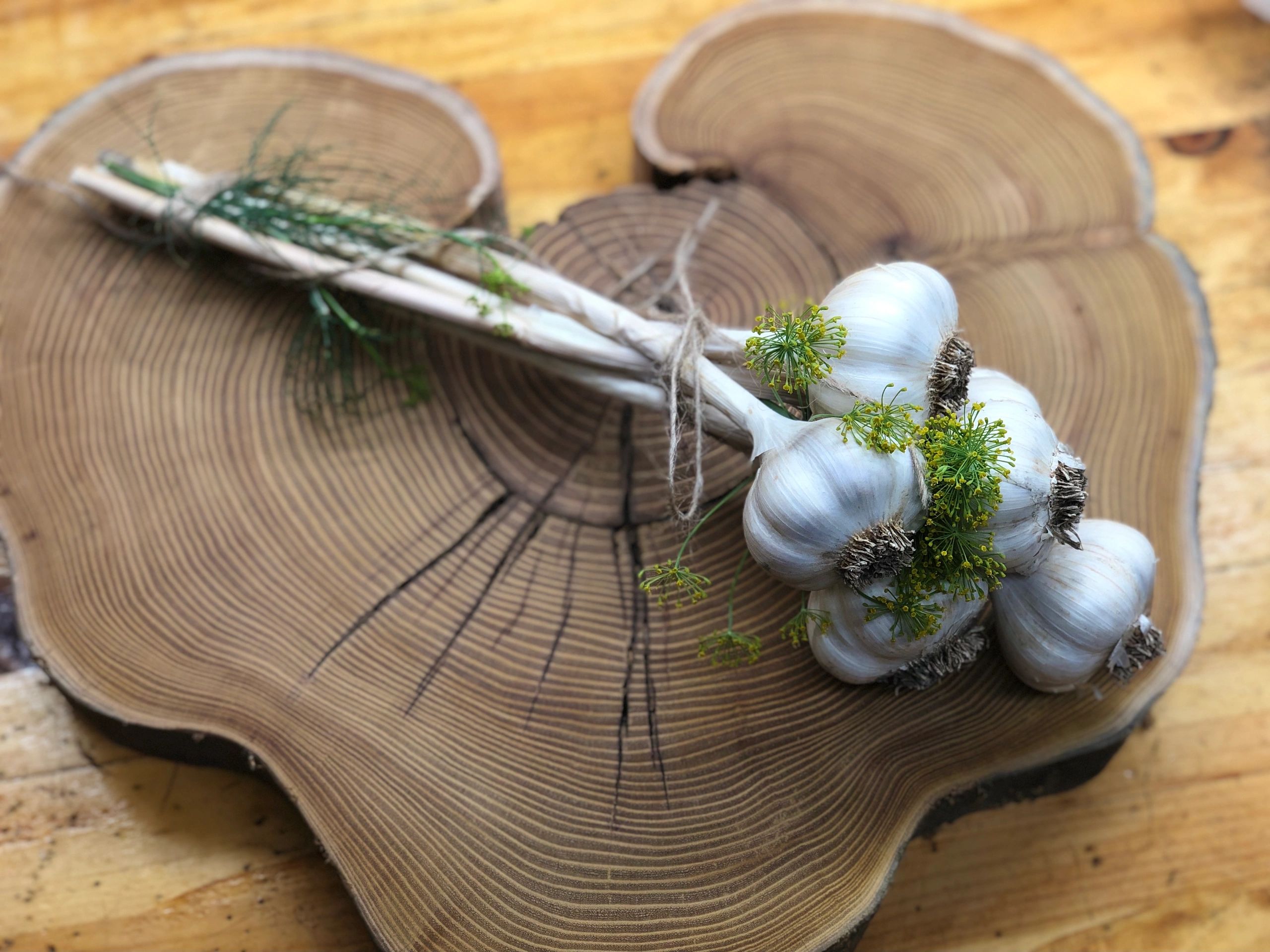 Gourmet Garlic Garlic, My Bulbs