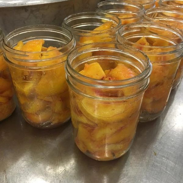 Jars filled with cut peaches on a metal surface.